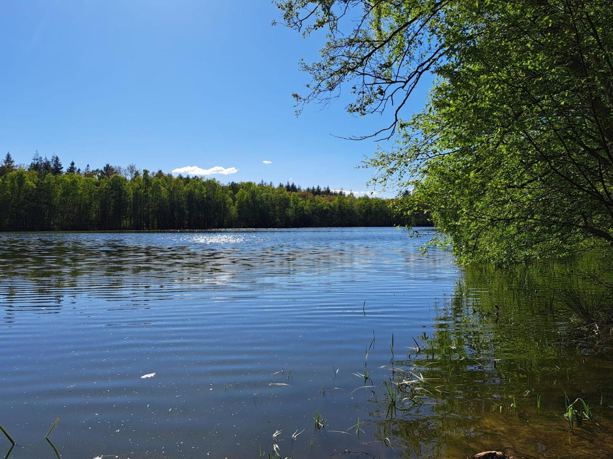 Natuurhuisje Meppen المظهر الخارجي الصورة